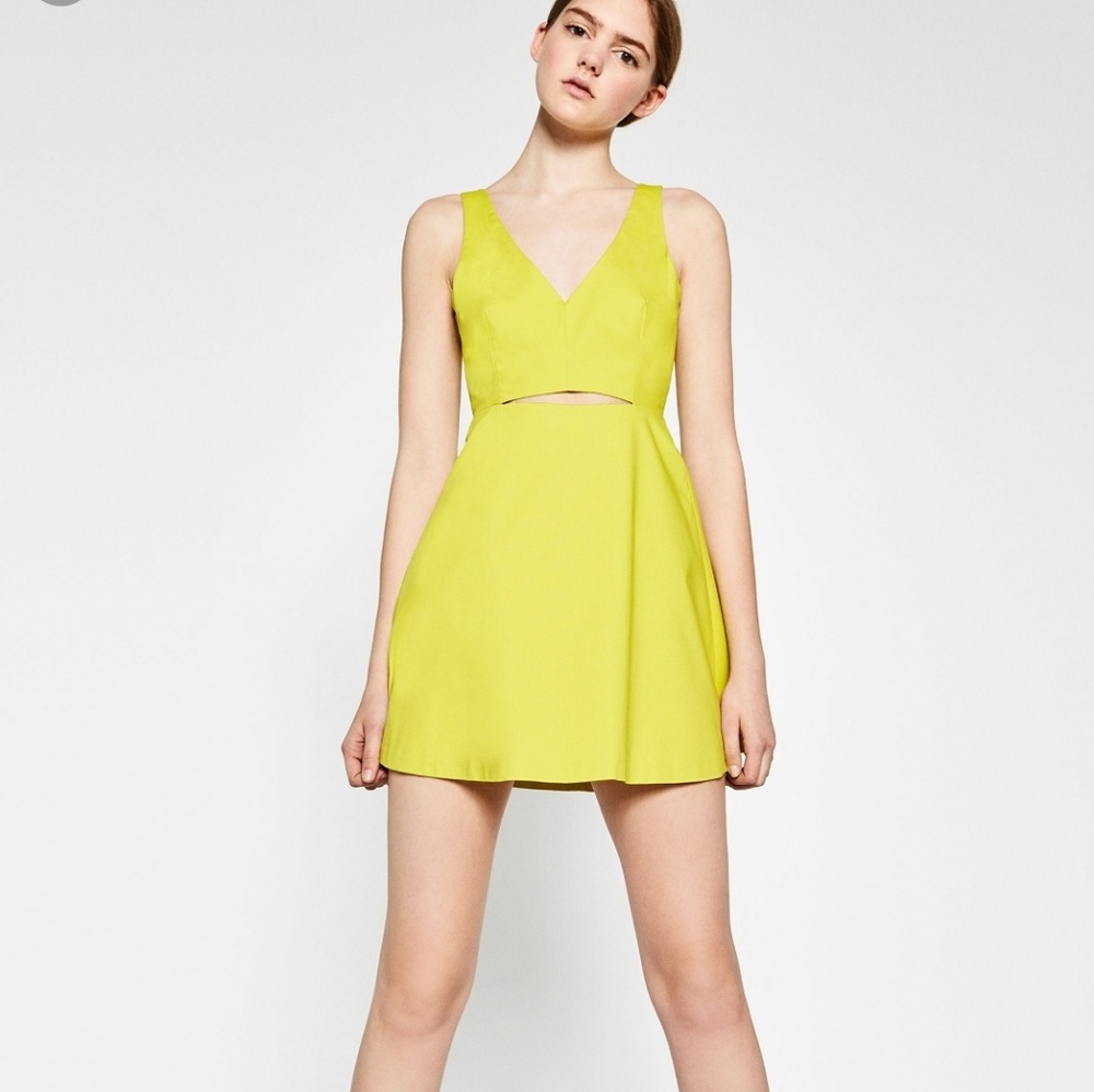 Zara Dress NWOT